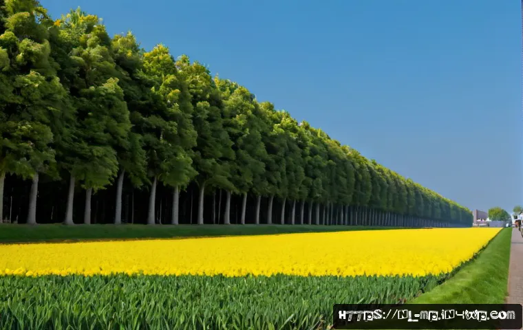 De kernelementen voor groei van een microcommunity 4 마이크로커뮤니티 성장의 핵심 요소 관련 이미지 2
